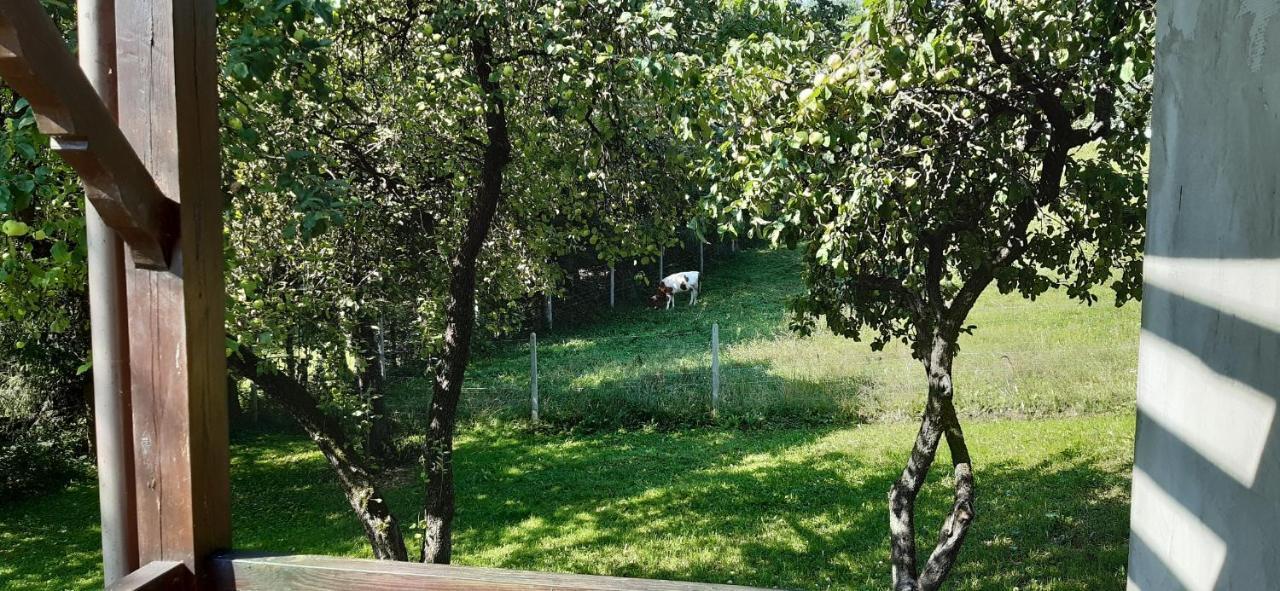 Agroturystyka Nad Czarnym Giby Екстериор снимка